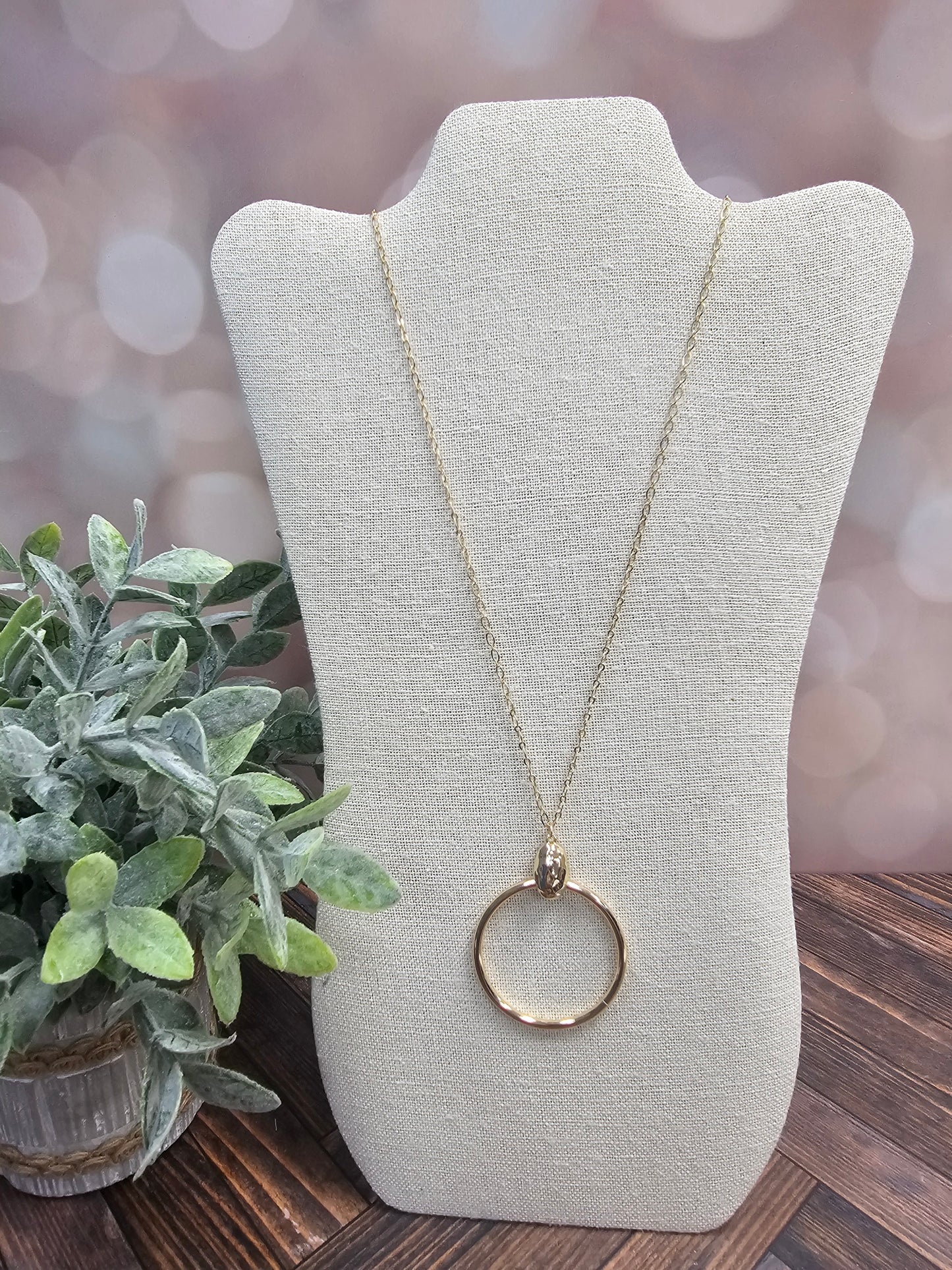 Long Chain Necklace w/Circle Pendant