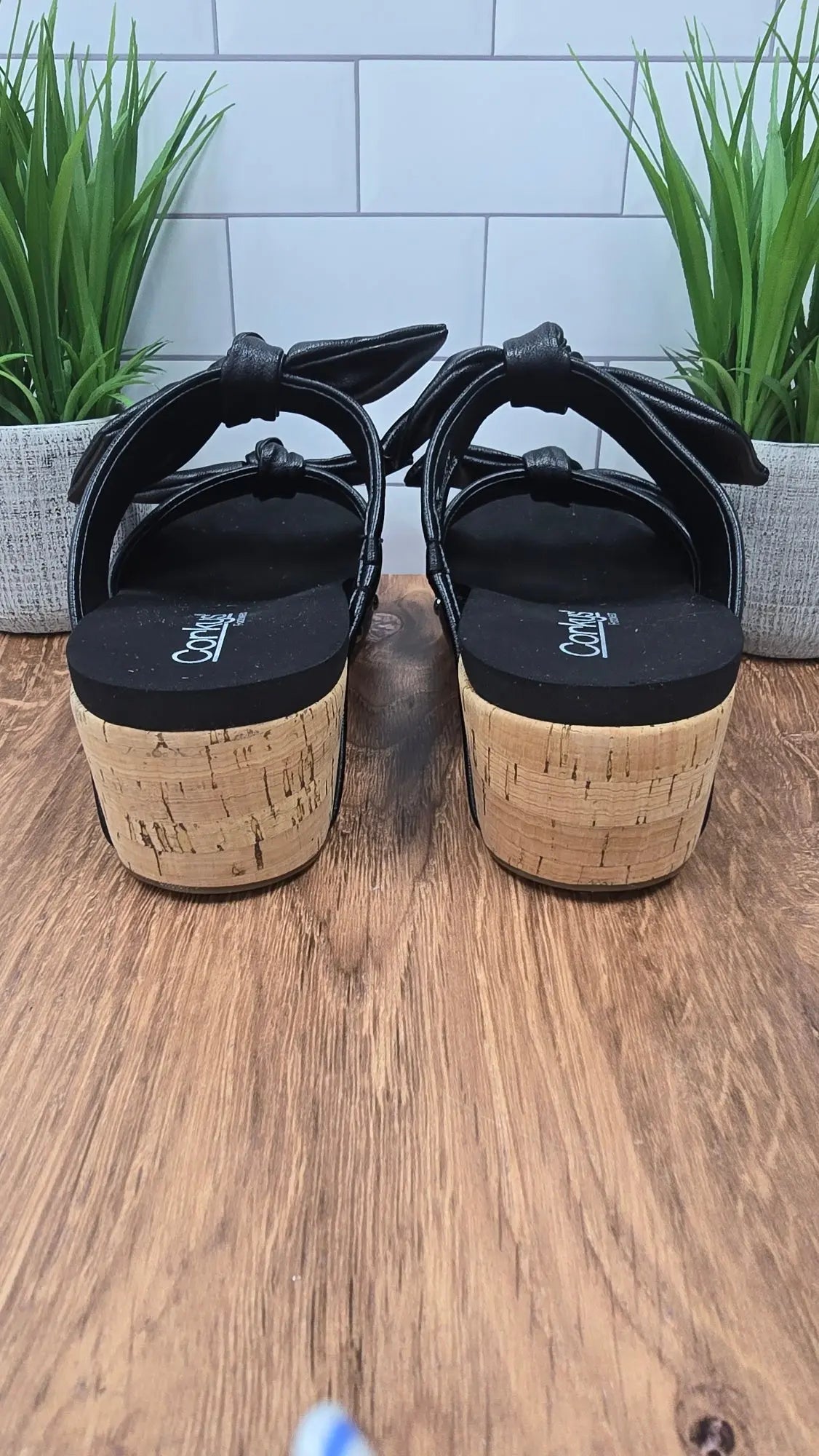 Corkys Sittin Pretty Corky's