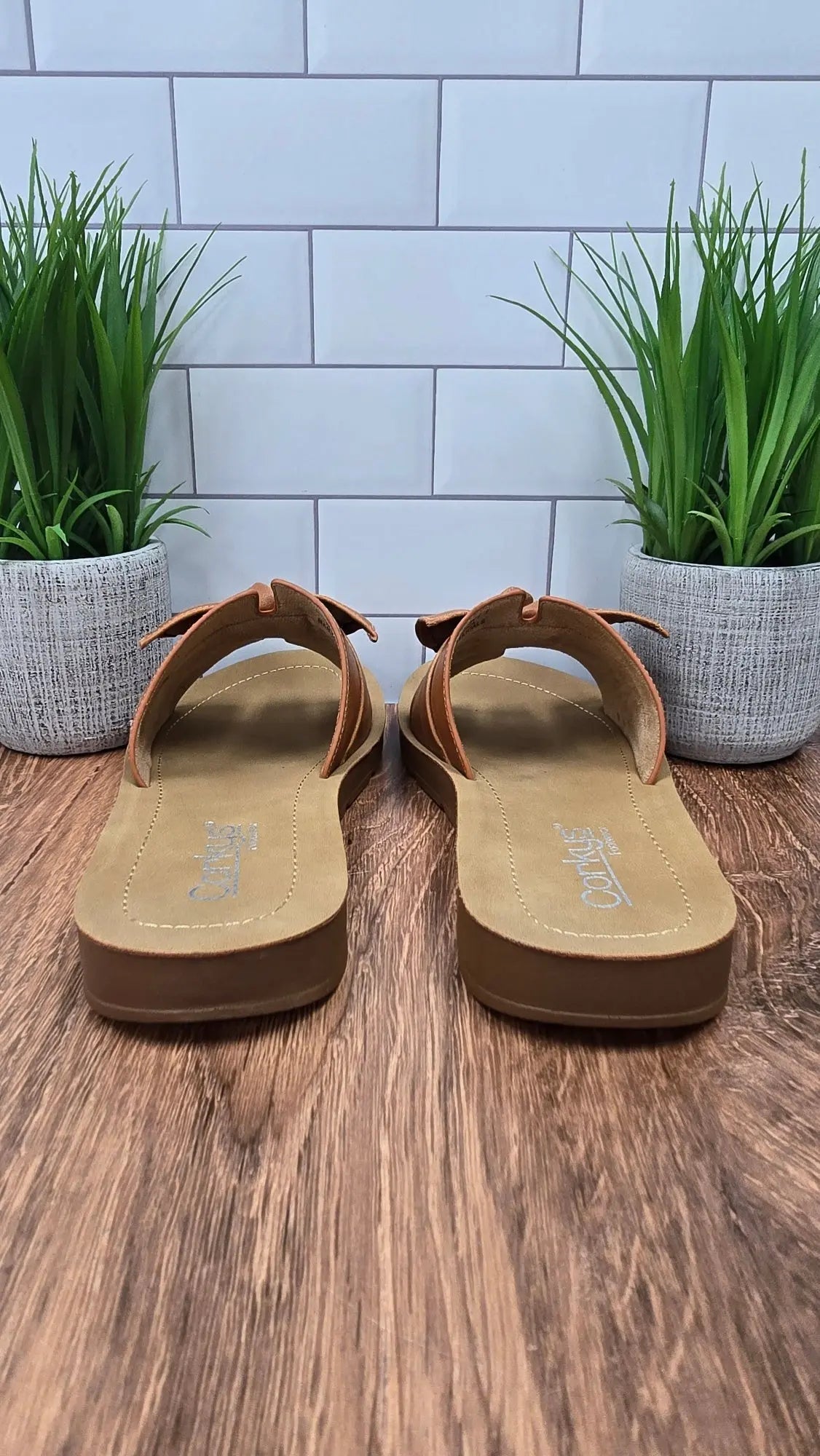 Corkys Rock The Bowt Corky's