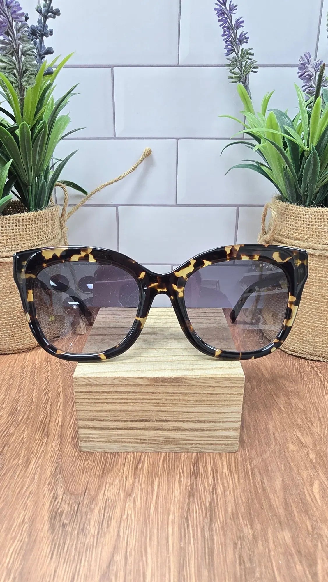 Naples Acetate Cat Eye Sunglasses Freyrs Eyewear