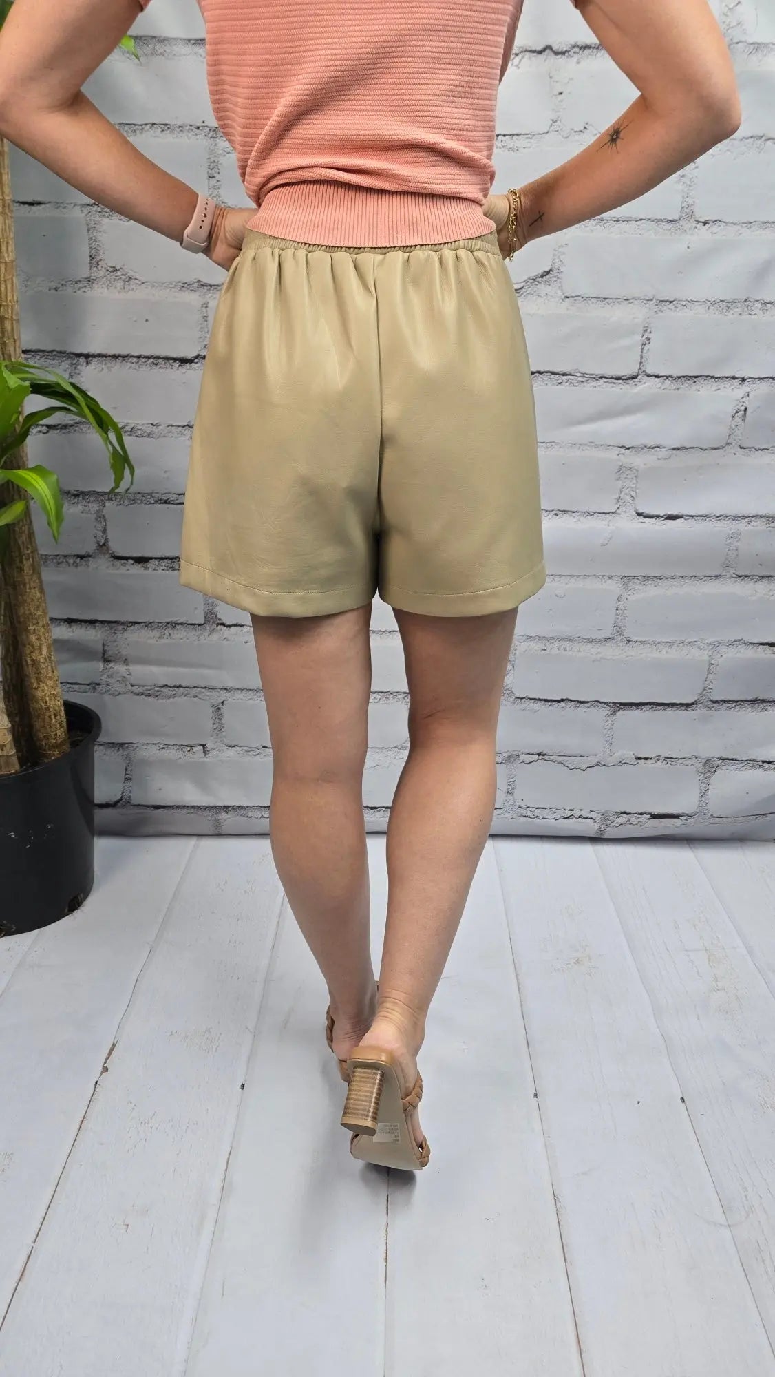 Vegan Leather Shorts Allie Rose