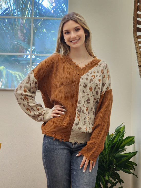 Load image into Gallery viewer, Rust Animal Print Sweater

